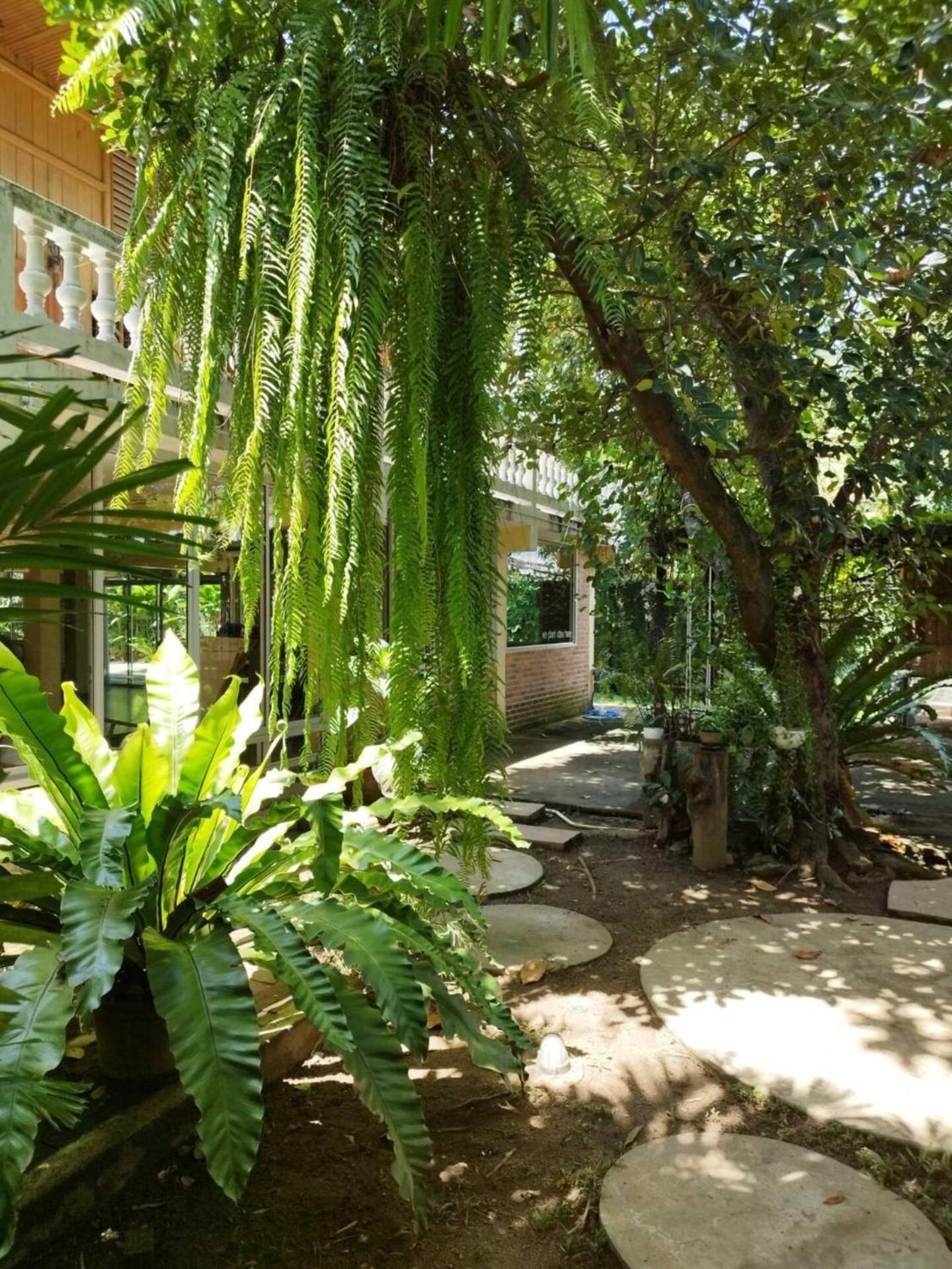 Atelier 36 Hotell Chiang Mai Eksteriør bilde